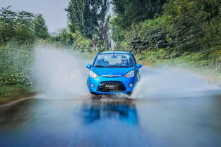 19年新能源汽車銷量盤點 微型車市場格局生變，奇瑞小螞蟻跌出前五