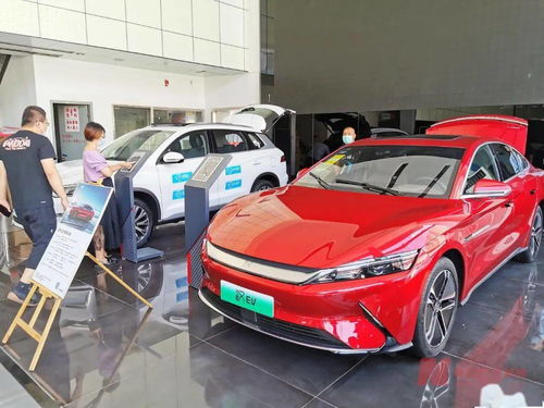 新能源車補貼退坡調查 市場終端火爆，車企策略分化，今年銷量劍指600萬輛